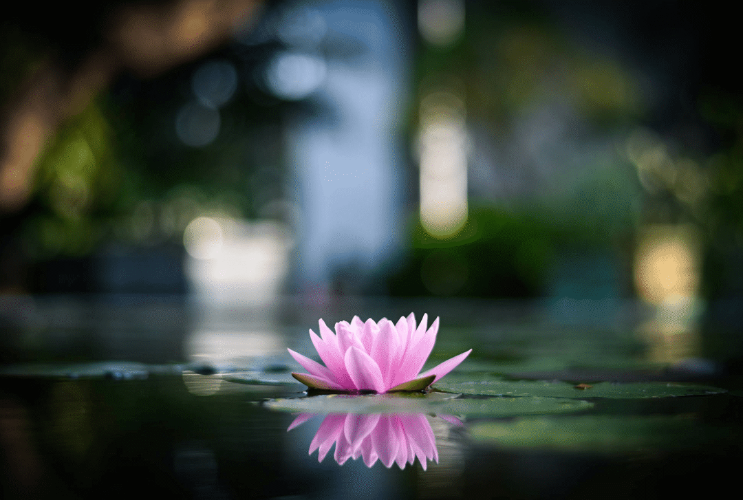 科学记笔记是如法闻法的一个重要环节，必须重视-图片1